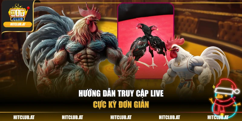 Hướng dẫn truy cập live cực kỳ đơn giản